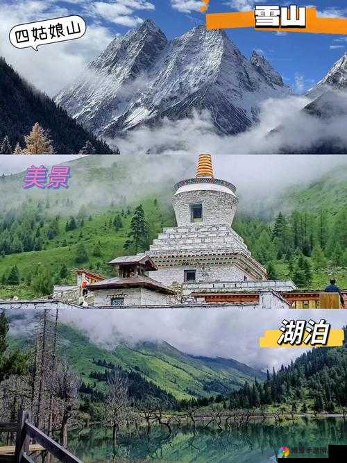 HD69ⅩXXXHDvideo：一段震撼心灵的艺术之旅