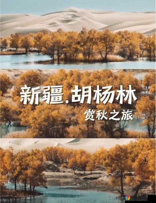 新疆超震撼大片 XXXXXL49 免费看震撼来袭