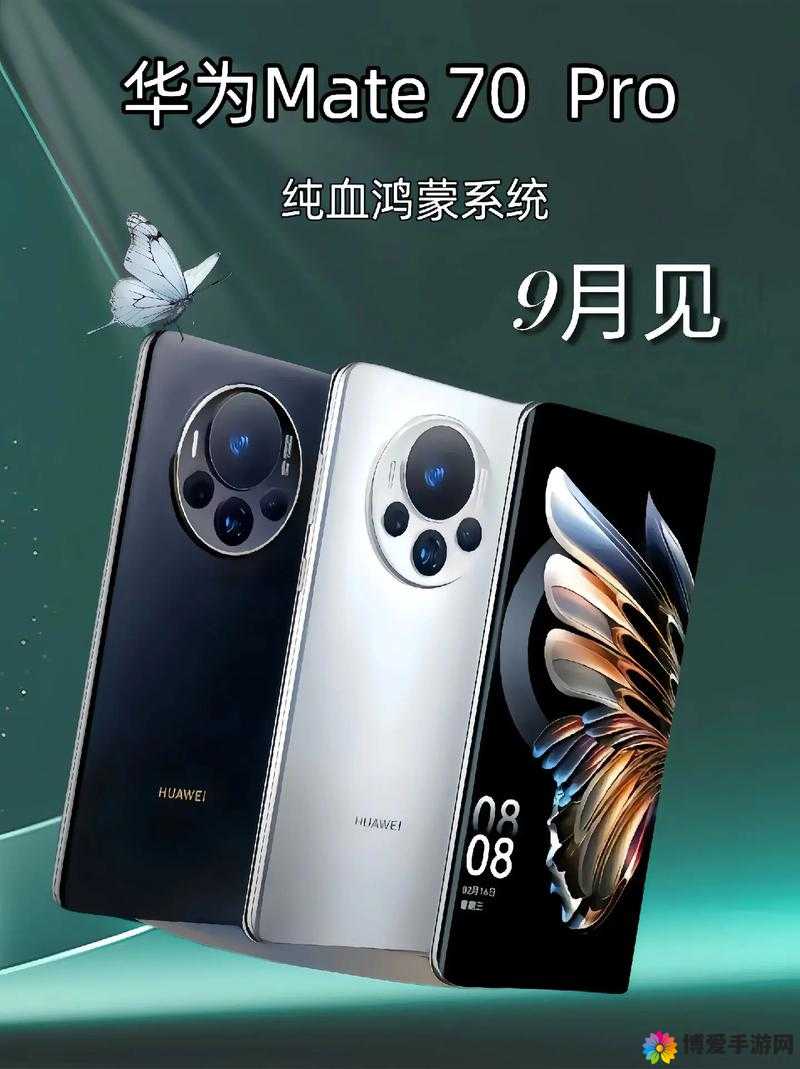 成色好 P31S 评测：全面其卓越性能表现