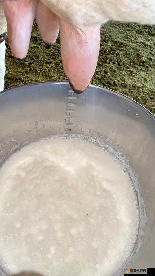 12 岁能在小花园里挤出牛奶吗：探究这一有趣现象背后的真相