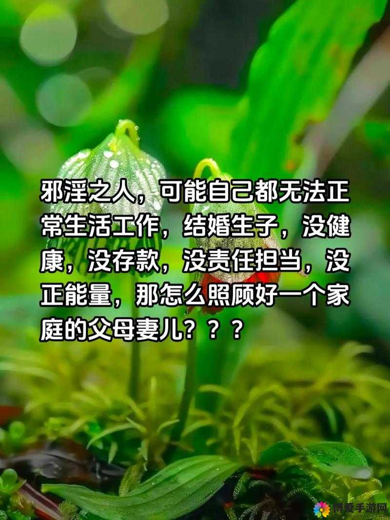 向日葵卍卍色斑防治：科学管理与病害防治