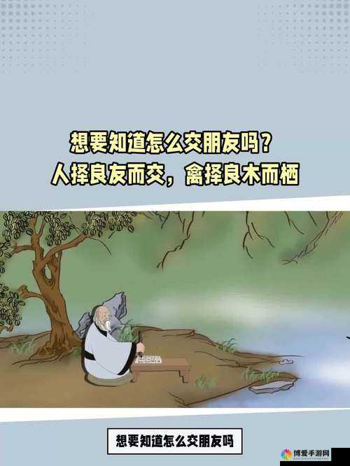 探索美国人禽交：是道德沦丧还是文化差异？