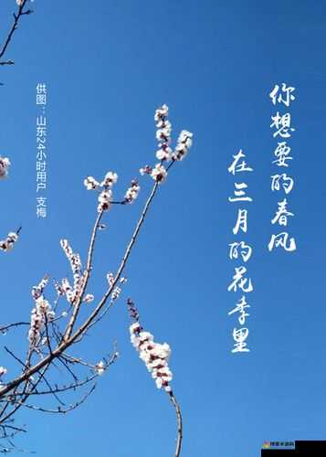 狠狠爱校园春色：不负春光不负卿