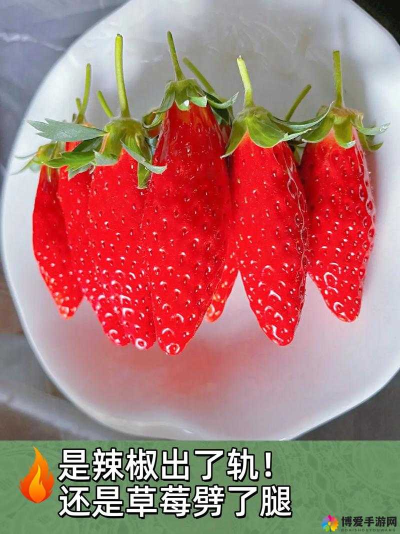草莓香蕉榴莲黄瓜丝瓜茄子：缤纷蔬果的独特魅力世界