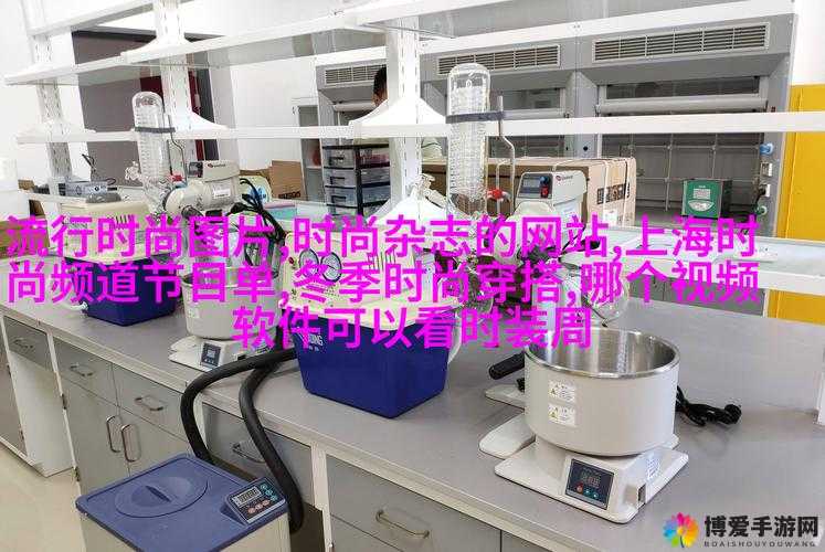 娇生惯养 4PH 简易攻略：助你轻松玩转游戏技巧