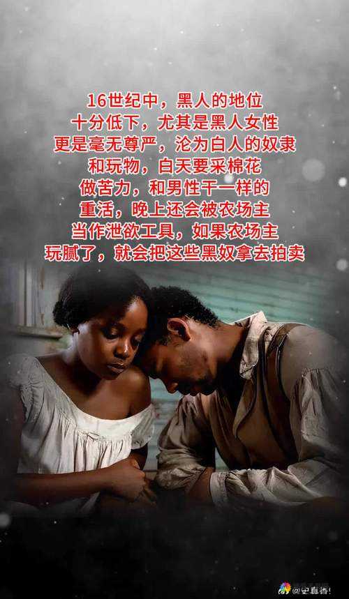 欧美 AAAAA 黑人 BBBB 历史：探寻其发展历程与文化传承