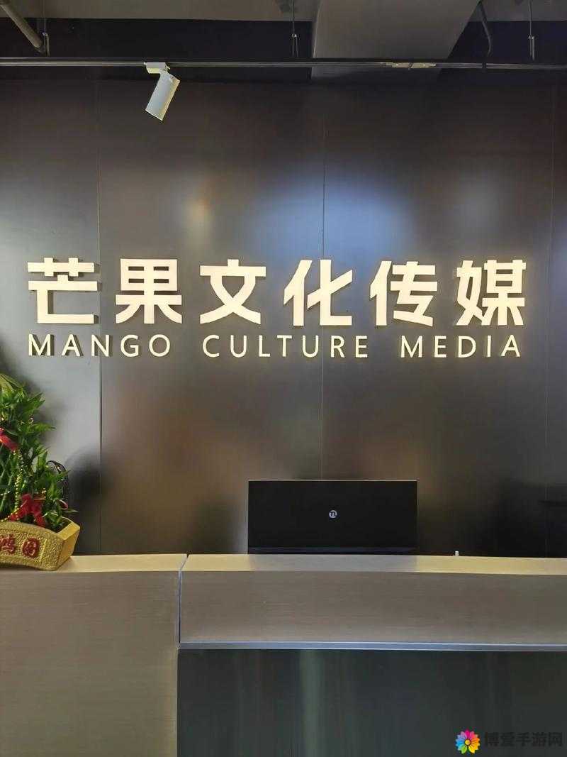 蜜桃文化传媒有限公司于 XX 年成立，开启文化传播新征程