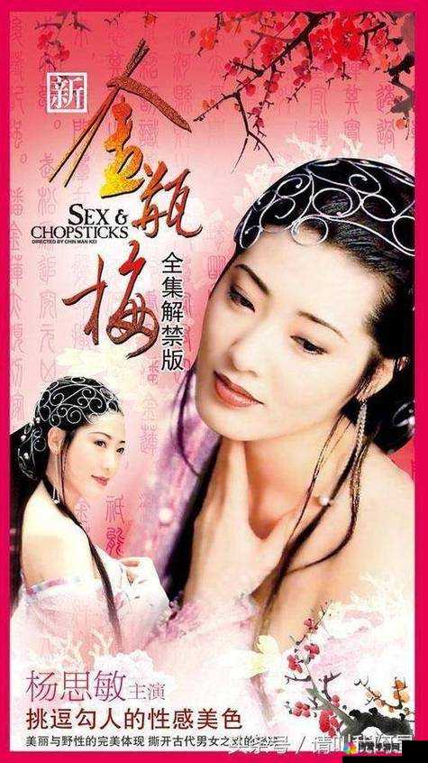 超级乱婬论淑芬：一部挑战伦理道德底线的低俗之作