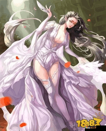 青丘狐传说楼兰王之怒玩法介绍，资源管理的艺术