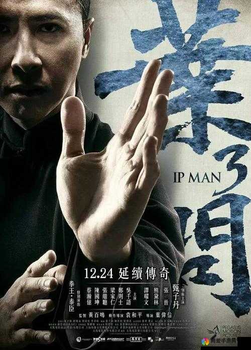 叶问3，宗师之战，技巧大揭秘