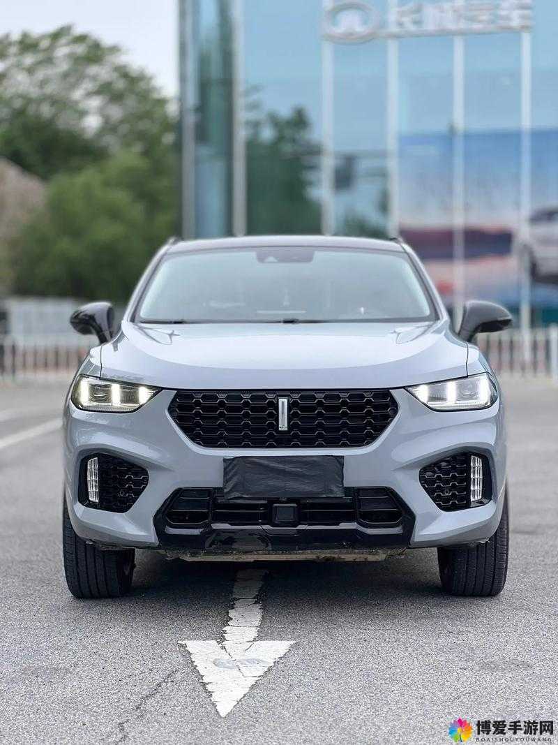 WEYVV5 国产的 SUV 视频：展现国产 SUV 魅力与实力的精彩呈现