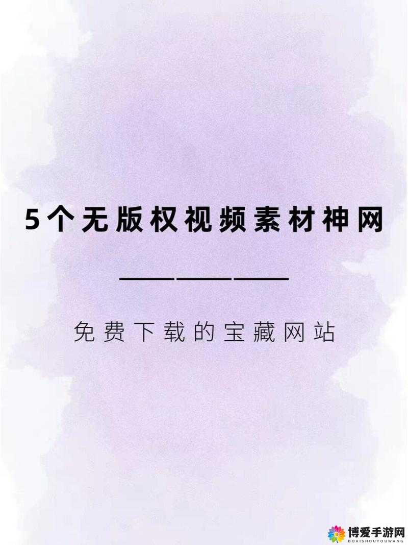 100 种禁用视频软件下载：不可触碰的非法资源获取途径