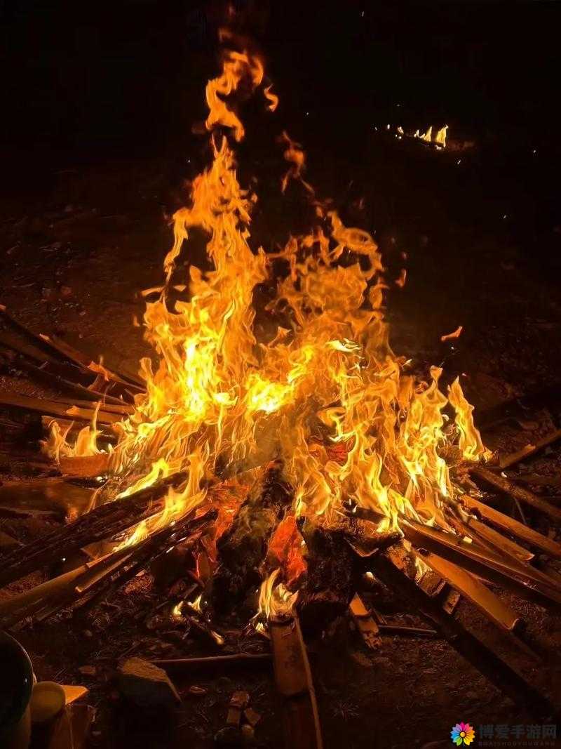 在那堆柴火垛里，他们疯狂地燃烧着自己的激情