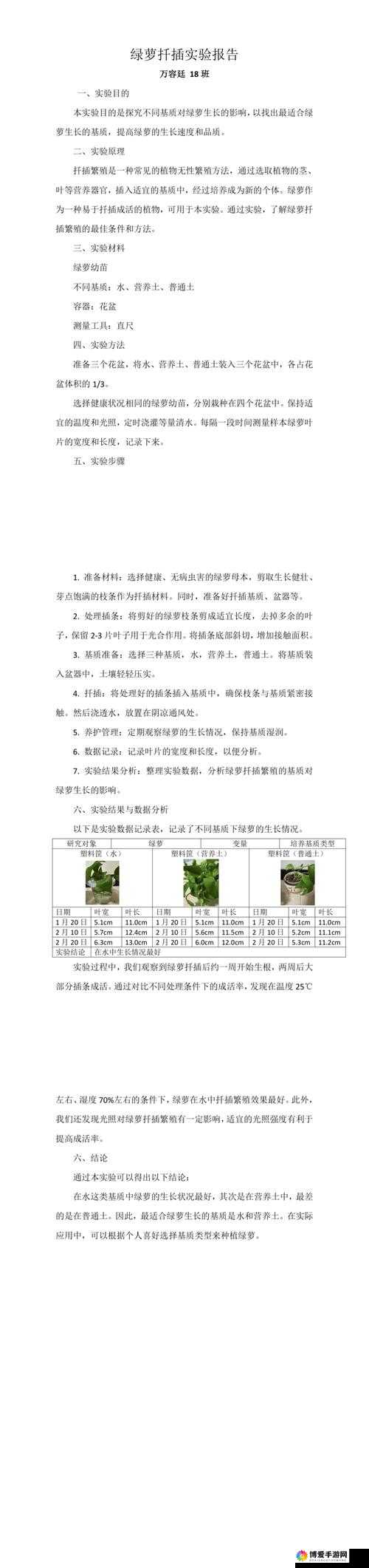 17c.c-起草：关于它的详细介绍与深入分析