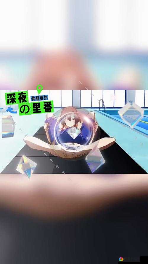 深夜 B 站：带你领略不一样的二次元世界和精彩视频内容