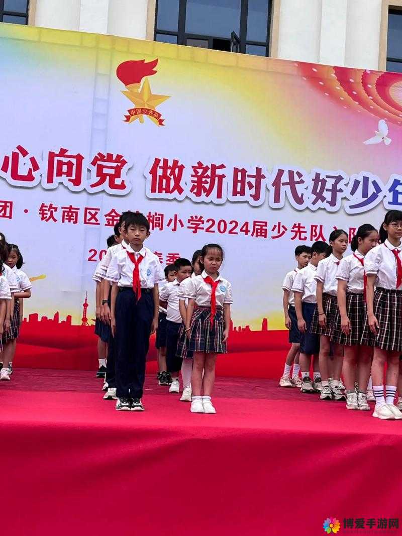 hlj07 红领巾：引领新时代少年成长的鲜明旗帜