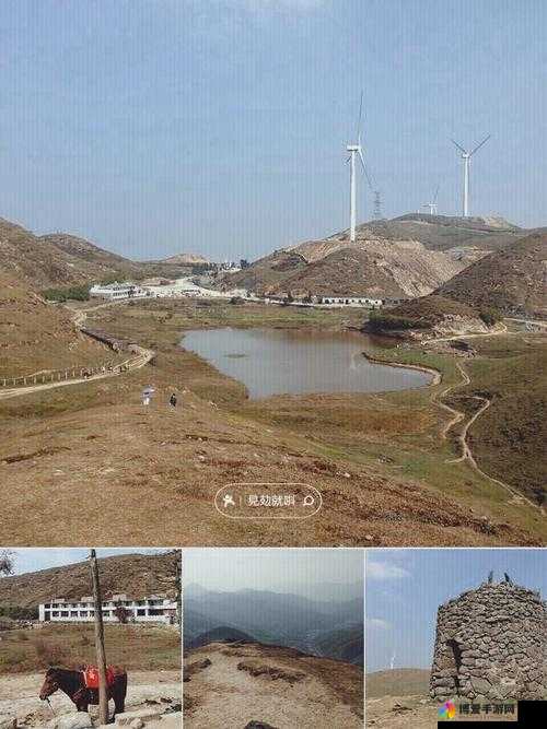 Zoom 美国另一牧场：是世外桃源还是别有洞天？
