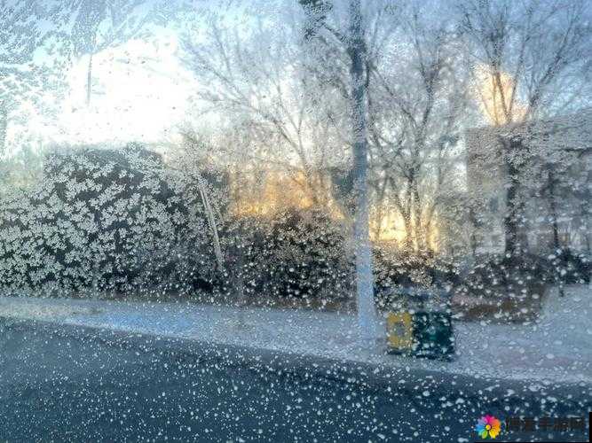 寒冷冬夜城中村100 元：探寻背后不为人知的故事与秘密