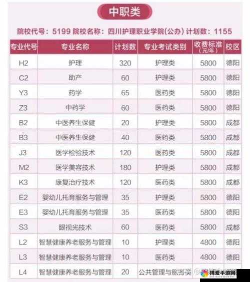 2024 年四川妇女 BBBB 职业发展：机遇与挑战并存