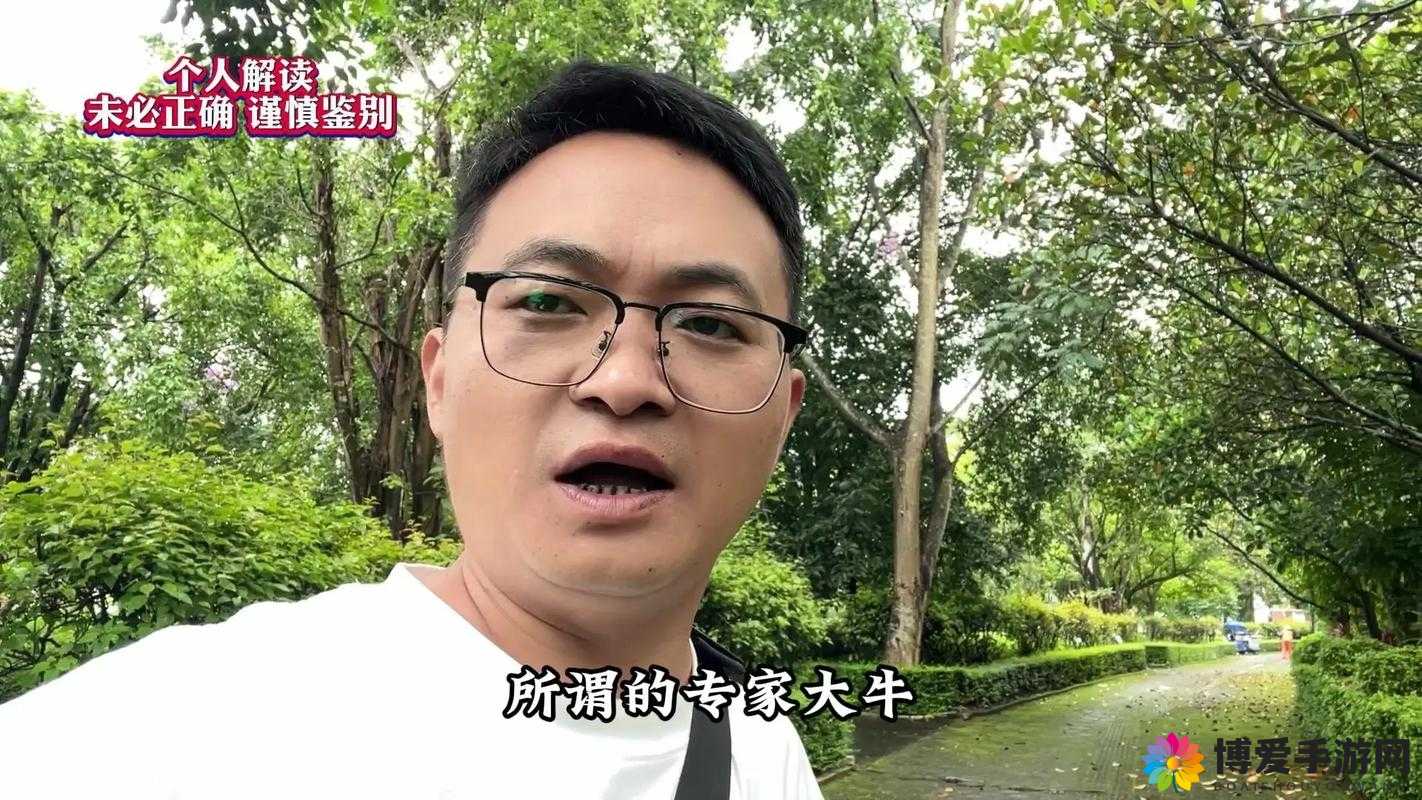 GOGOGO 中国剧情介绍与评价大牛：深度剖析与精彩见解