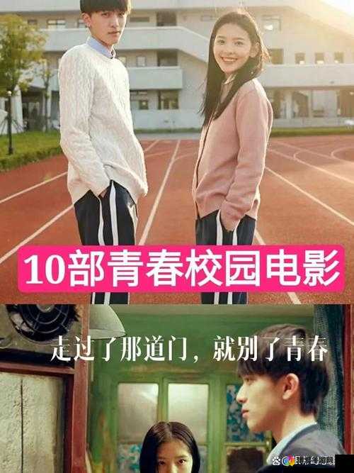 入梦校园 POPO ：一段充满奇幻与成长的青春之旅