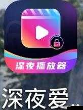 夜里十大禁用 APP 软件 6MM ：探索其独特魅力与内涵