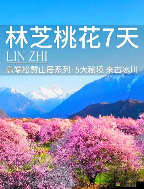 桃花族在线入口：畅享精彩桃花世界的奇妙之旅