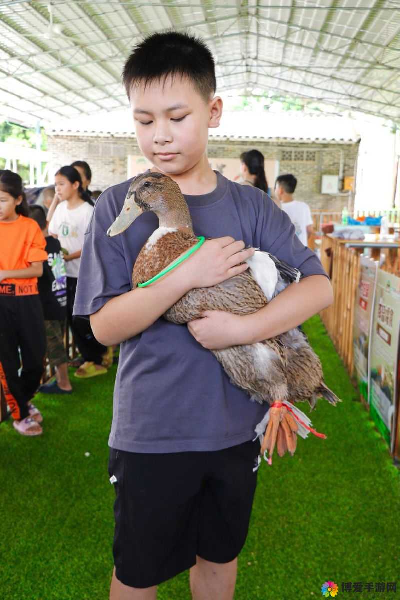 亲子时光的奇妙探索，爸爸去哪儿游戏与现实中的亲子互动