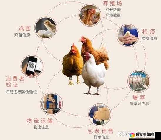 人类与畜禽的合作：互利共赢的生态模式