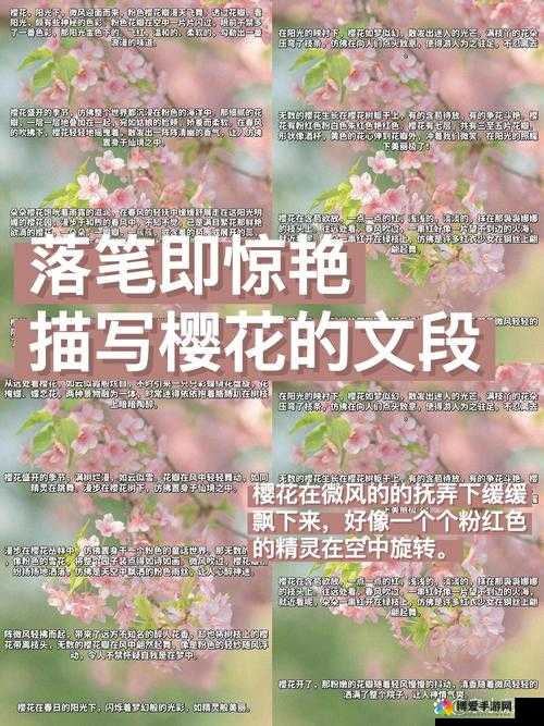 我可以深入了解你关于樱花的一切吗