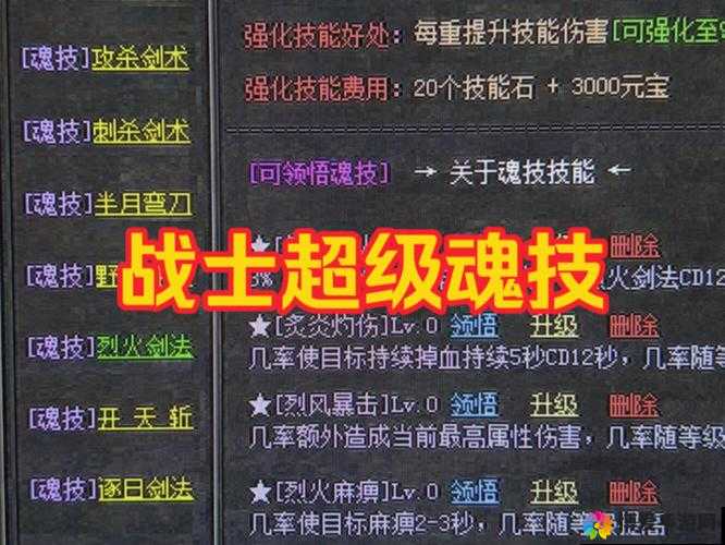 传奇十一人属性揭秘，顶尖球员如何铸就非凡实力
