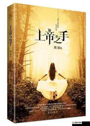 探秘上帝之手，策略与操作的完美融合
