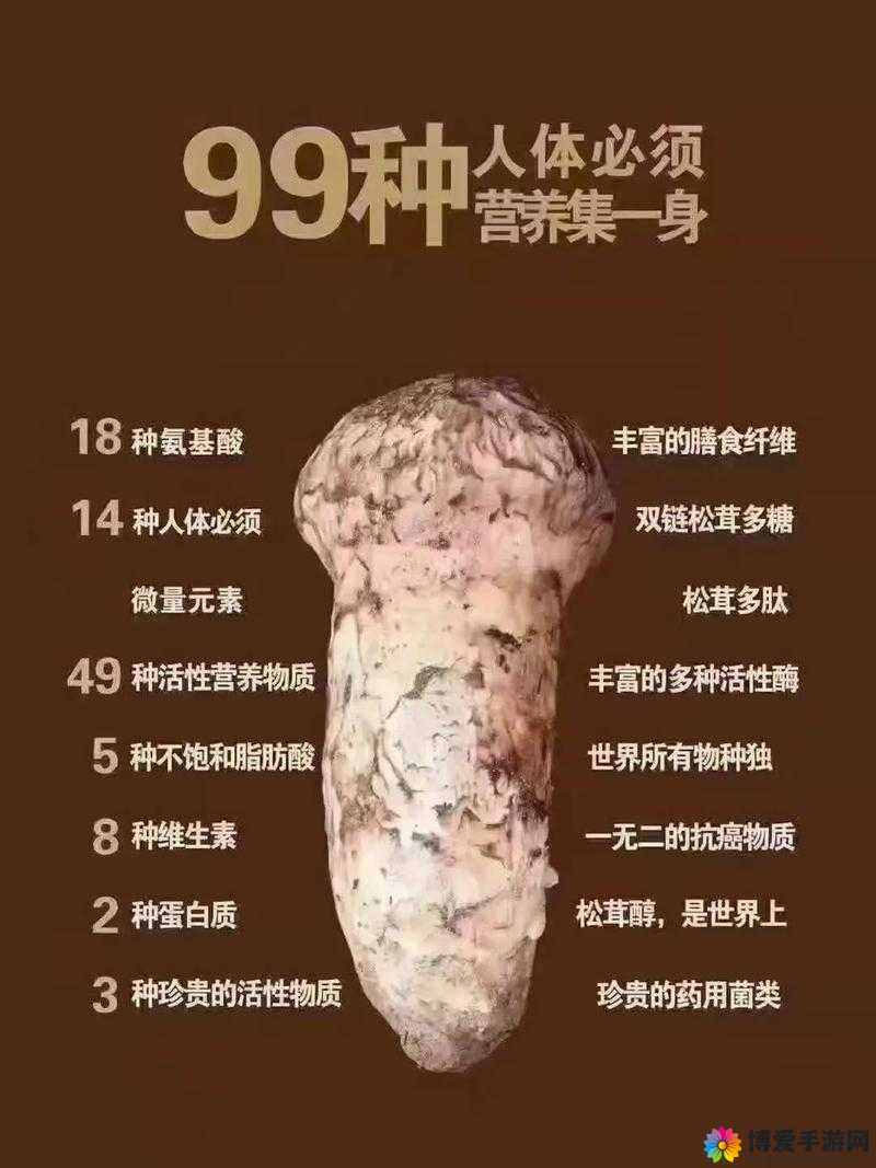 吃货大食堂松茸取得方法在资源管理中的重要性及高效利用策略
