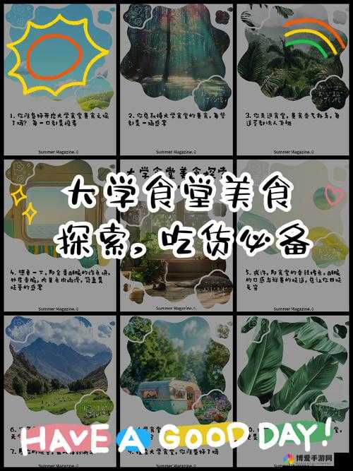 吃货大食堂,美食之旅的启航与基础知识全解析