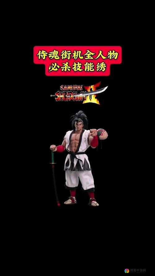 侍魂觉醒，格斗之魂的炽热重燃
