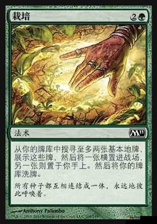 万智对决黑白吸血套装搭配攻略，资源管理的艺术