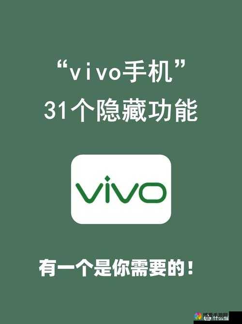下载 3.0.3 每天无限免费 vivo：让你畅享便捷体验