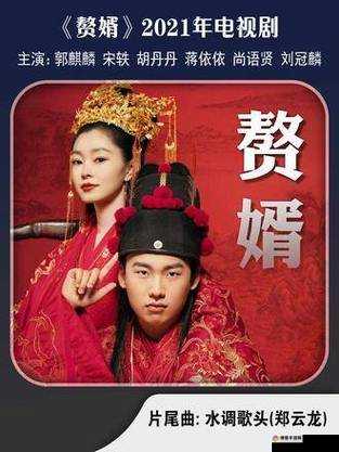 星空无限传媒在线观看电视剧赘婿：精彩剧情不容错过