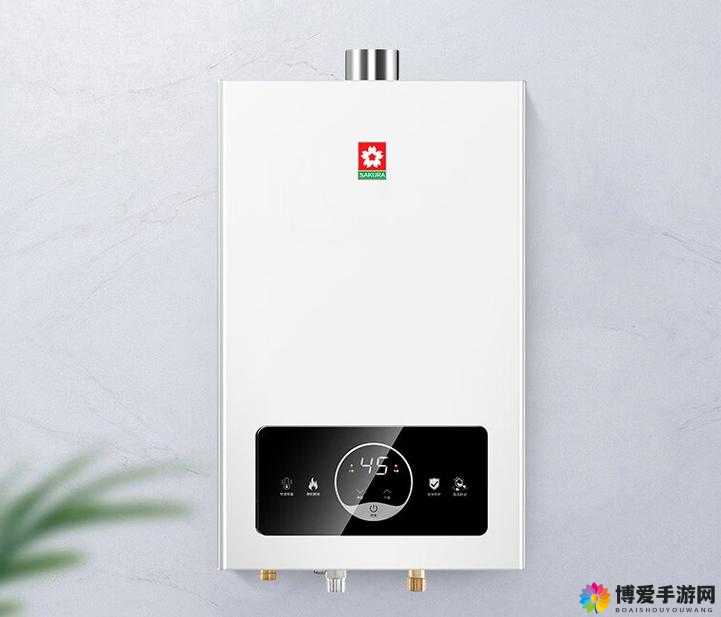 樱花 JSQ24-12C01 燃气热水器性能与优势解析