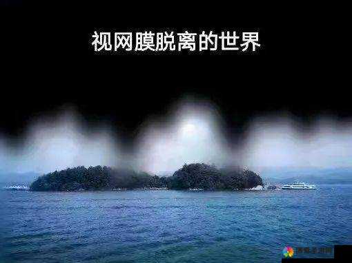 超碰人人摸带来独特的视觉与体验感受