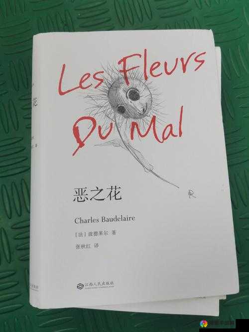 禁忌之花：在纯洁与诱惑之间绽放