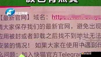 快猫最新网站是什么：探寻其背后的相关信息与内容