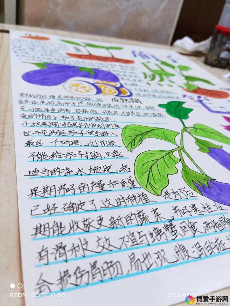 第一次用茄子的感受：独特体验与新奇发现之旅