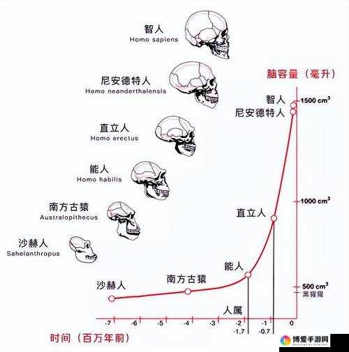 非洲人性功能强大：探秘其背后的神奇原因