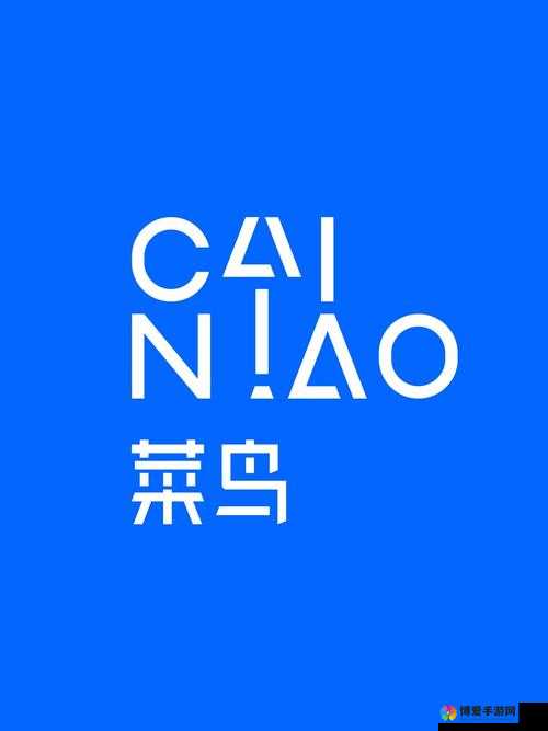 全面解读滴滴打人，让菜鸟提前变老鸟在资源管理中的重要性及策略