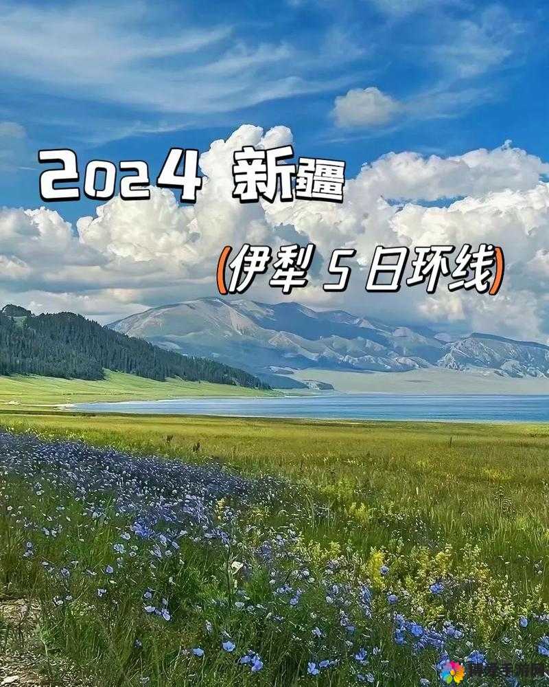 伊犁园区入口 2024:开启全新发展篇章