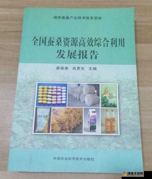 战歌英雄系统介绍，资源管理、高效利用与最大化价值