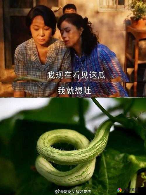 苦瓜色影视：独特视角呈现别样精彩