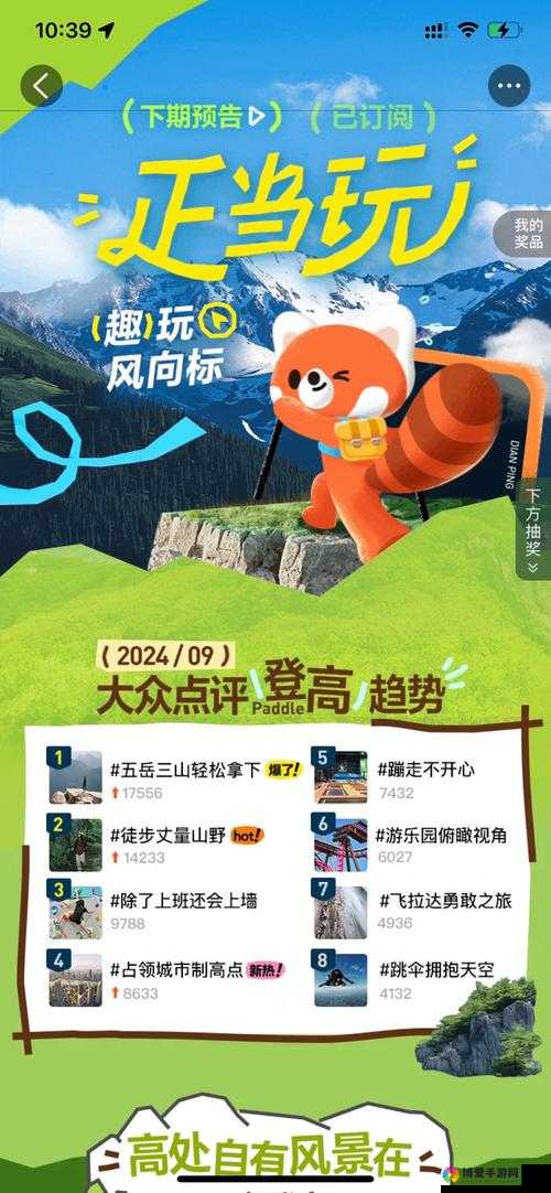 海角小马大车：一段充满惊喜与冒险的独特旅程