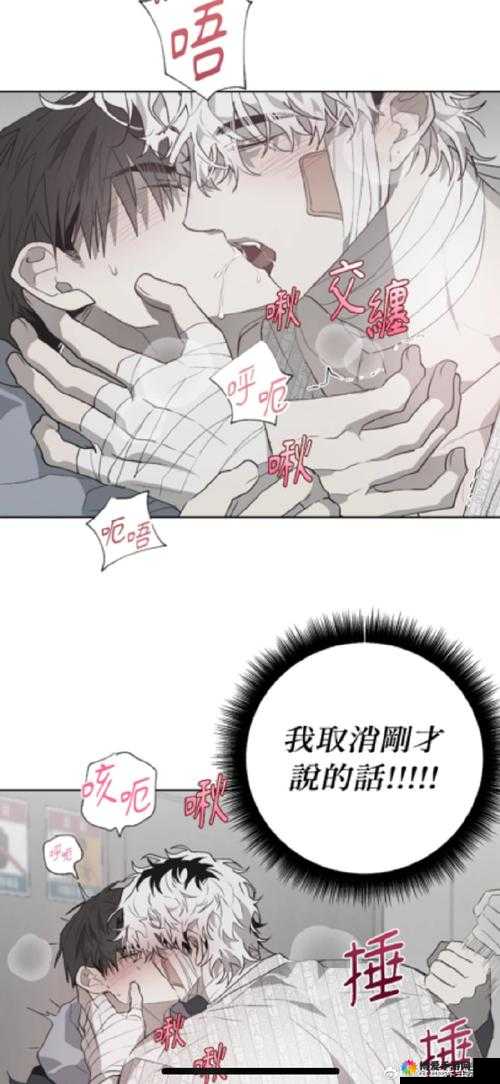 秘密花园后妈小城小说第十章：精彩内容持续呈现